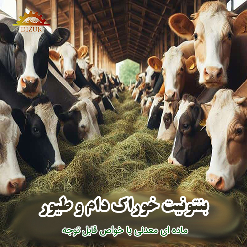 بنتونیت خوراک دام و طیور: ماده ای معدنی با خواص قابل توجه